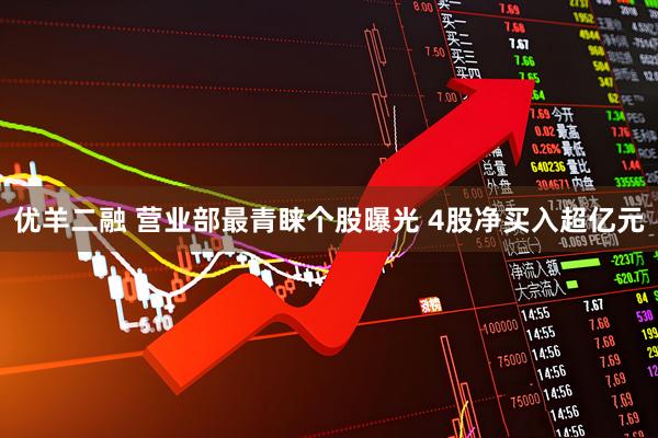 优羊二融 营业部最青睐个股曝光 4股净买入超亿元