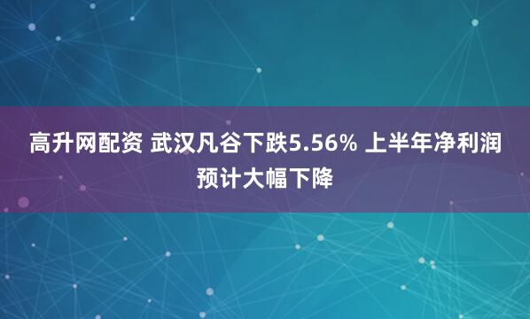高升网配资 武汉凡谷下跌5.56% 上半年净利润预计大幅下降