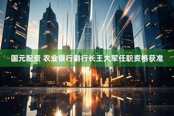 国元配资 农业银行副行长王大军任职资格获准